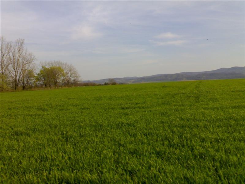 200704091791 .jpg